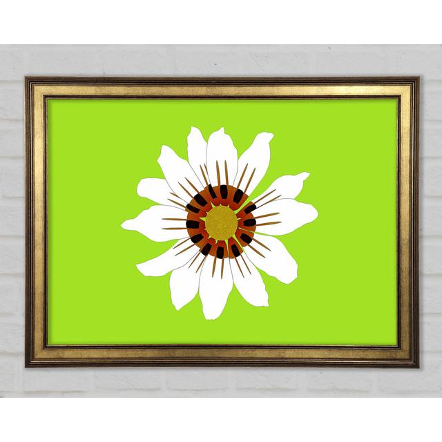 White Daisy Greens Gerahmter Druck ClassicLiving Größe: 29,7 cm H x 42 cm B x 1,5 cm T on Productcaster.