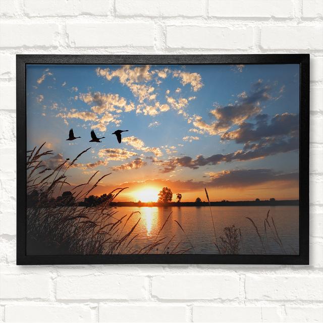 Swans Flying Over The Lake Framed Print House of Hampton Size: 42cm H x 59.7cm W on Productcaster.