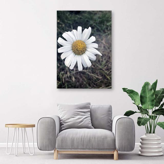 Canvas print, Chamomile Ebern Designs on Productcaster.