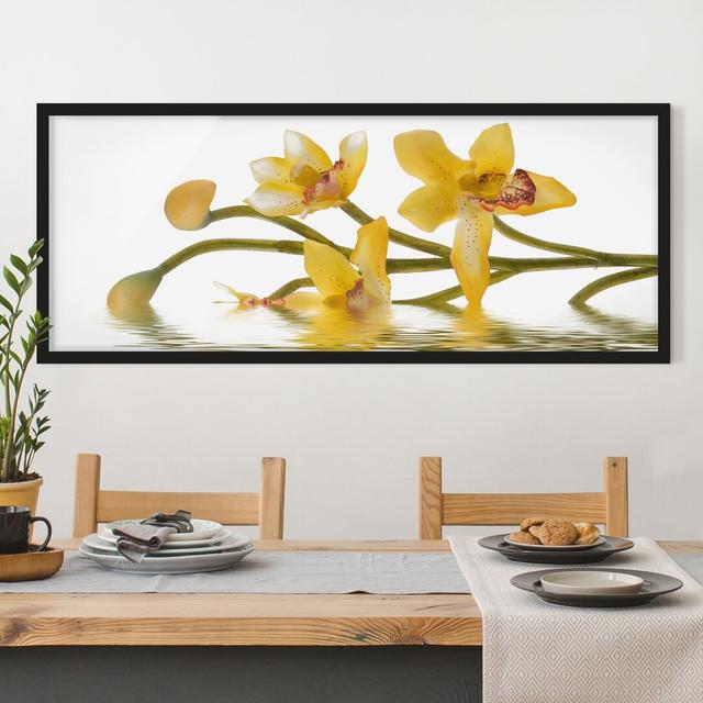 Saffron Orchid Waters - Picture Frame Graphic Art Ebern Designs Size: 50cm H x 130cm W x 2cm D, Frame Option: Black Framed on Productcaster.