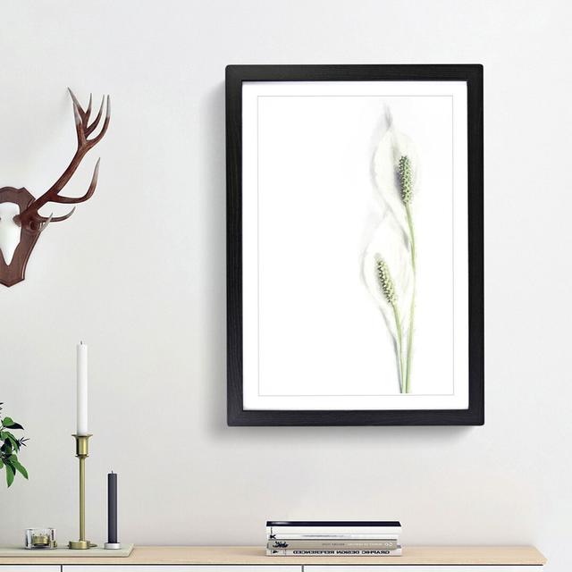 Pair of White Peace Lilies - Picture Frame Graphic Art Print on MDF East Urban Home Frame Option: Black Framed, Size: 87cm H x 62cm W x 2cm D on Productcaster.