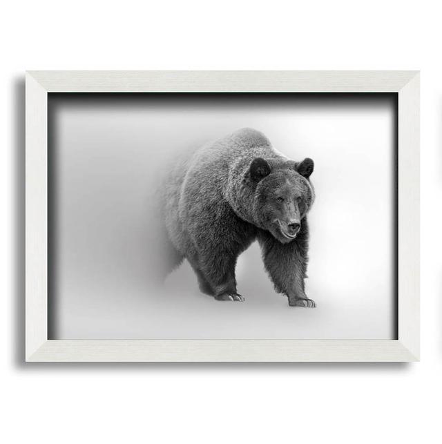 Floumoy Bear in the Mist - Single Picture Frame Art Prints Union Rustic Size: 59.7cm H x 84.1cm W x 10cm D on Productcaster.