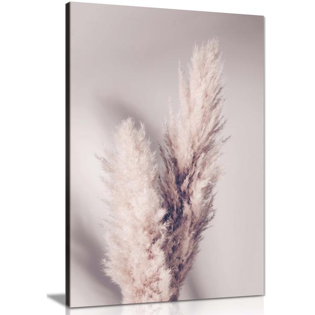 Dried Pampas Grass and Its Shadow - Wrapped Canvas Photograph Panther Print Size: 46cm H x 31cm W on Productcaster.