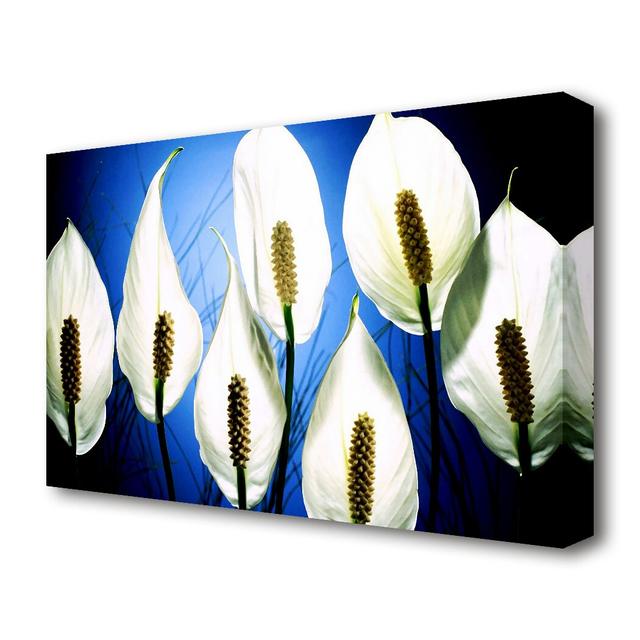 White March Flowers Canvas Print Wall Art East Urban Home Size: 66 cm H x 101.6 cm W on Productcaster.