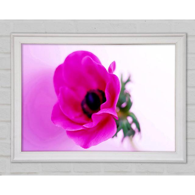 Pink Poppy Centre - Single Picture Frame Print Latitude Run Size: 84.1cm H x 118.9cm W x 1.5cm D, Format: White Framed Paper on Productcaster.