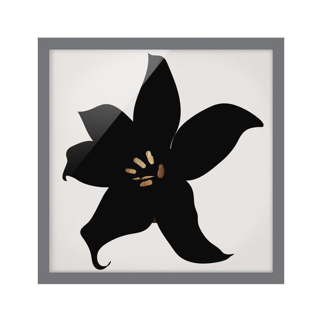 Plant World - Orchid Black and Gold - Picture Frame Graphic Art Rosalind Wheeler Size: 50cm H x 50cm W x 2cm D, Format: Grey, Matte Colour: No Matte on Productcaster.