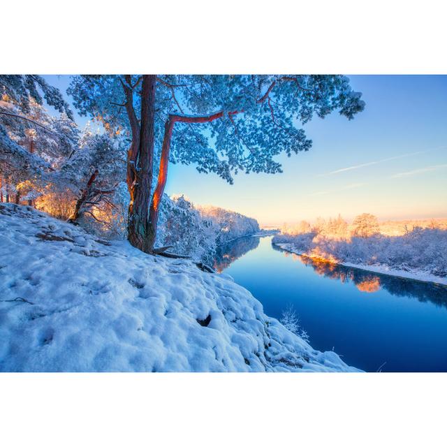 Labonte Christmas Landscape - Wrapped Canvas Photograph ClassicLiving Size: 30cm H x 46cm W x 3.8cm D on Productcaster.