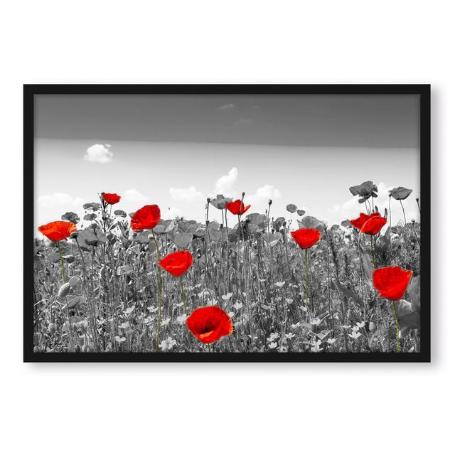 Gerahmtes Poster "Schöner leuchtend roter Mohn" ClassicLiving Größe: 80 cm H x 60 cm B x 2.5 cm T on Productcaster.