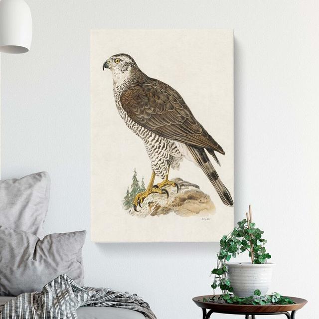 A Goshawk by Von Wright - Wrapped Canvas Print East Urban Home Size: 91cm H x 60cm W x 3cm D on Productcaster.