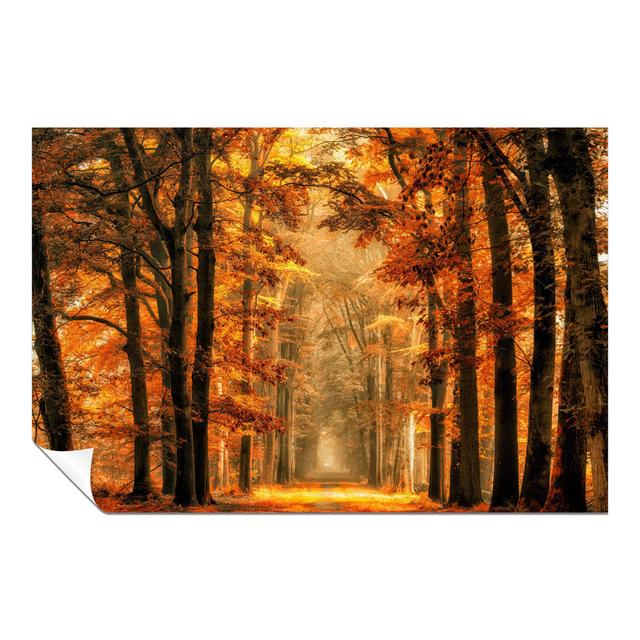 Panther Print Fine Art Prints Park In Autumn Golden Leaves Foliage Artistic Unframed Poster, Pictures For Home Walls, Bedroom, Living Room & Bathroom on Productcaster.