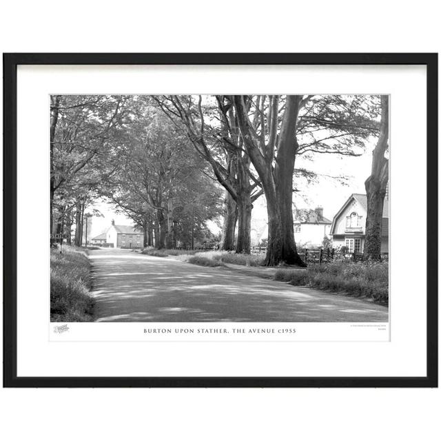 Burton Upon Stather, The Avenue C1955 by Francis Frith - Single Picture Frame Print The Francis Frith Collection Size: 60cm H x 80cm W x 2.3cm D on Productcaster.