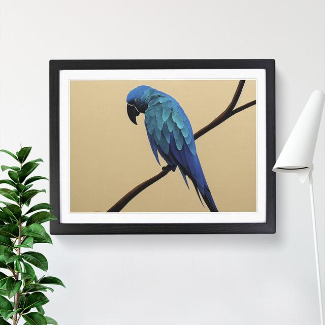 XH1022-6883X Perched Parrot - Single Picture Frame Print 17 Stories Size: 25cm H x 34cm W x 2cm D, Format: Black Framed on Productcaster.