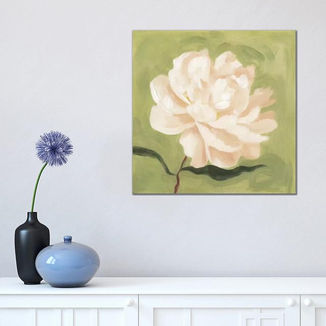 Peony On Olive I by Emma Scarvey - Wrapped Canvas Painting ClassicLiving Size: 45.72cm H x 45.72cm W x 3.81cm D on Productcaster.