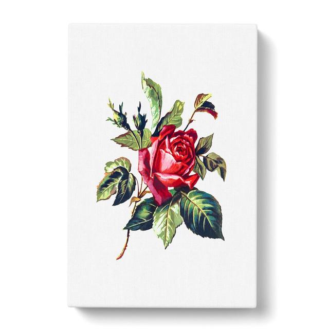 Red Rose Illustration - Wrapped Canvas Painting Print East Urban Home Size: 60cm H x 40cm W x 3cm D on Productcaster.