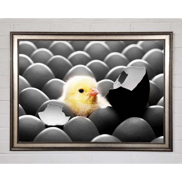 Chick Hatching - Print Brayden Studio Size: 84.1cm H x 118.9cm W x 1.5cm D, Format: Gunmetal Framed Paper on Productcaster.