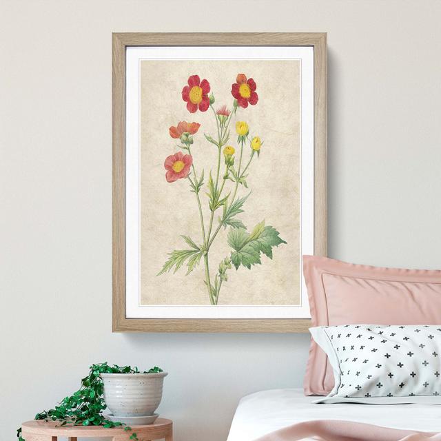 Red Geum Flowers by Pierre-Joseph Redoute - Picture Frame Painting Print East Urban Home Frame Option: Oak Framed, Size: 36cm H x 27cm W x 2cm D on Productcaster.