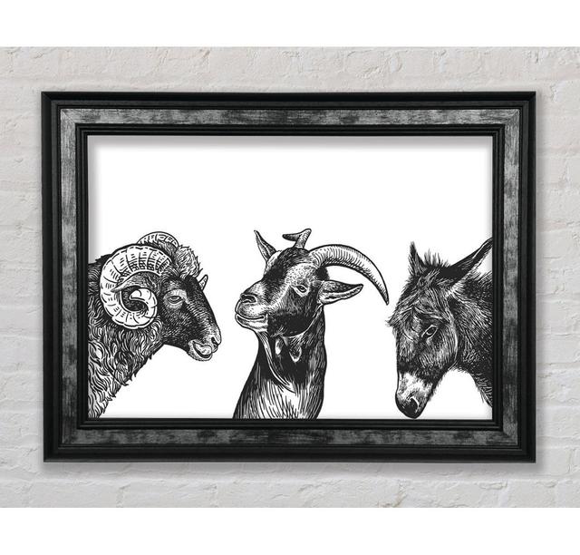 Goat Sheep Donkey - Single Picture Frame Art Prints Bright Star Size: 59.7cm H x 84.1cm W x 1.5cm D on Productcaster.