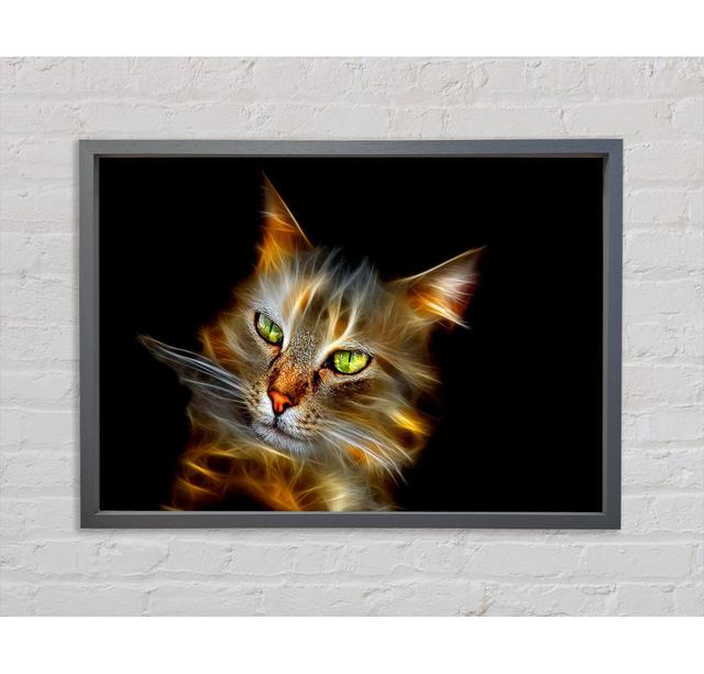 Purrfect Framed Print Bright Star Size: 100cm H x 141.4cm W x 3.3cm D on Productcaster.