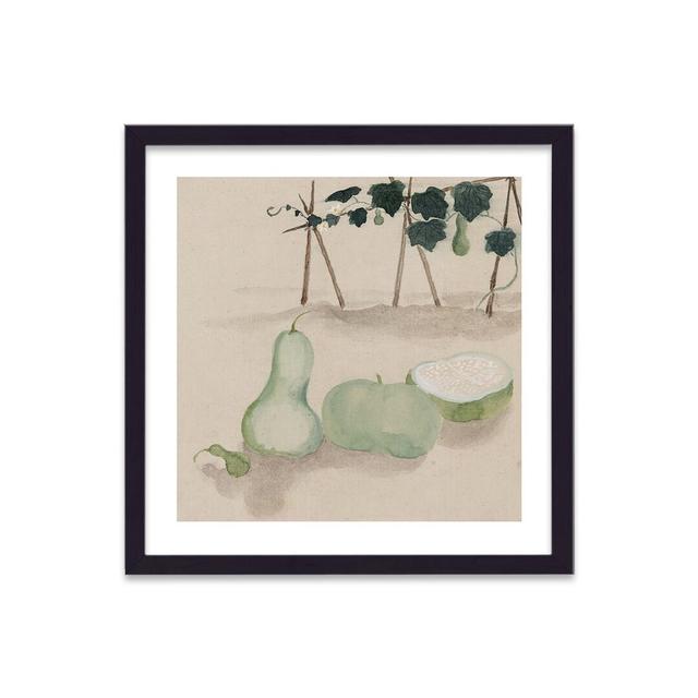 Vintage Japanese Vegetable Squash 1 by Vouvart - Single Picture Frame Painting Rosalind Wheeler on Productcaster.