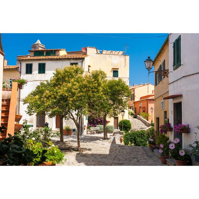 Poggio Village In Elba Island, Italy by Digitalsignal - Wrapped Canvas Print Ebern Designs Size: 20cm H x 30cm W x 3.8cm D on Productcaster.