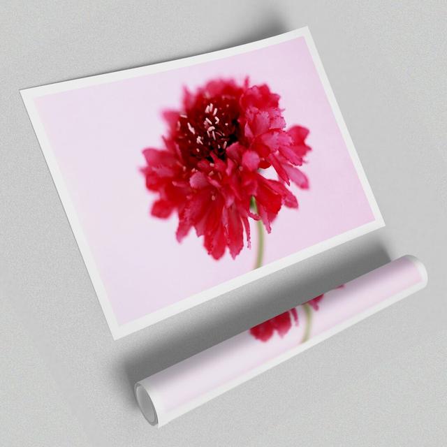 Pink On Pink Pom Pom Flowers Print Poster - Graphic Art Print on Paper East Urban Home Size: 59.4 cm H x 84.1cm W on Productcaster.