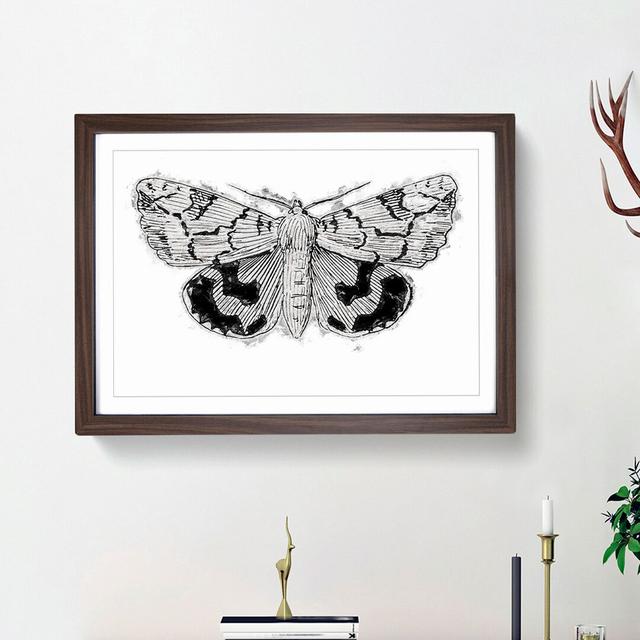 Underwing Moth by S.F. Denton - Picture Frame Painting Print East Urban Home Size: 48cm H x 65cm W x 2cm D, Frame Option: Walnut Framed on Productcaster.