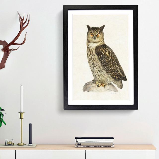 Eurasian Eagle-Owl by Von Wright - Picture Frame Painting Print East Urban Home Frame Option: Black Framed, Size: 87cm H x 62cm W x 2cm D on Productcaster.