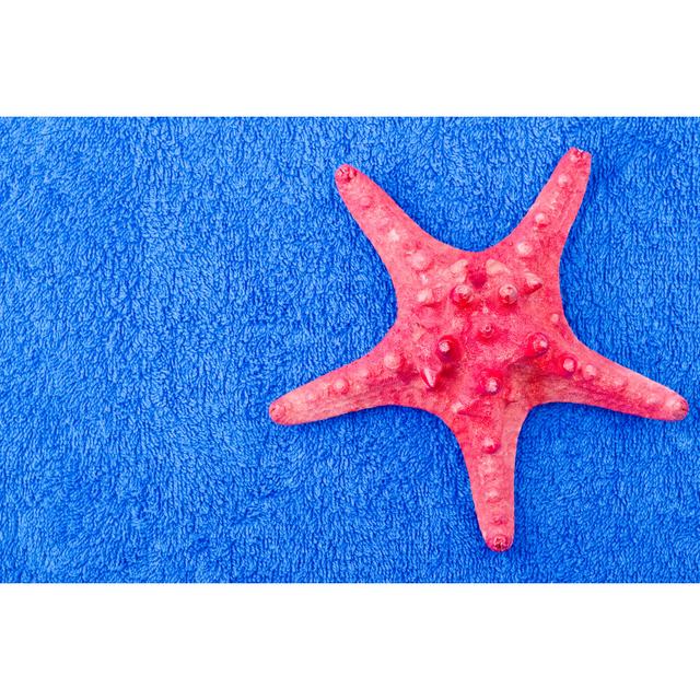 Starfish On Towel House of Hampton Size: 30cm H x 46cm W x 3.8cm D on Productcaster.