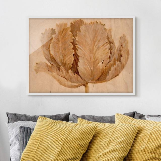 Sepia Tulip on Wood II - Picture Frame Painting Rosalind Wheeler Frame Option: White, Size: 40cm H x 55cm W x 2cm D on Productcaster.