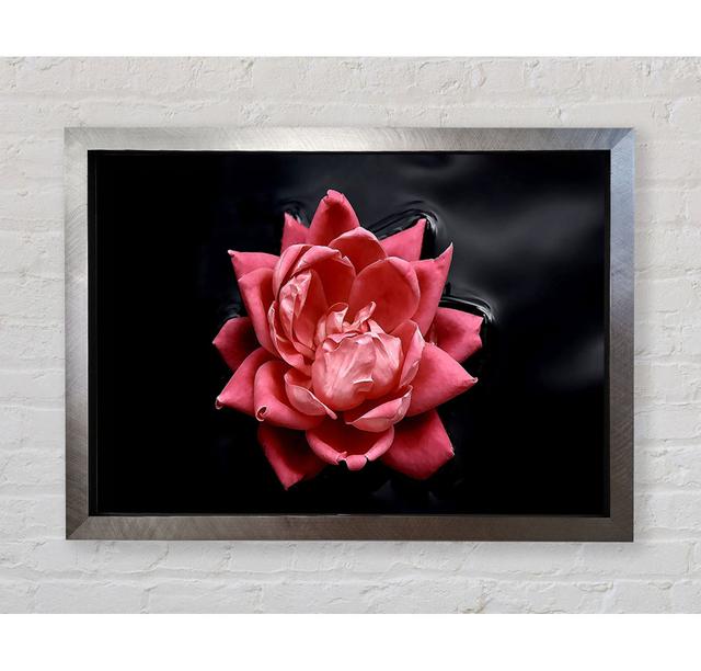 Floating Flower - Single Picture Frame Art Prints Bright Star Size: 100.1cm H x 141.4cm W x 3.4cm D on Productcaster.