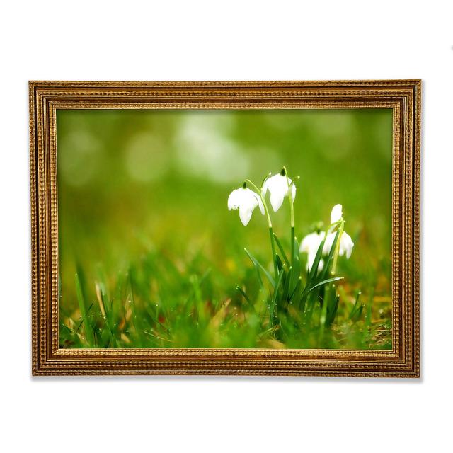 Cute Snowdrops - Single Picture Frame Art Prints Ebern Designs Size: 42cm H x 59.7cm W x 3cm D on Productcaster.