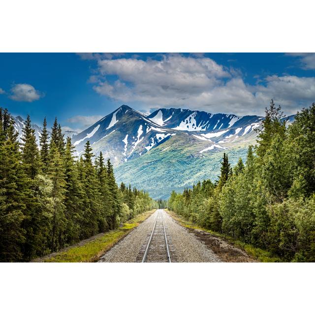 Railroad to Denali National Park by Martina Birnbaum - Wrapped Canvas Photograph Alpen Home Size: 81cm H x 122cm W on Productcaster.