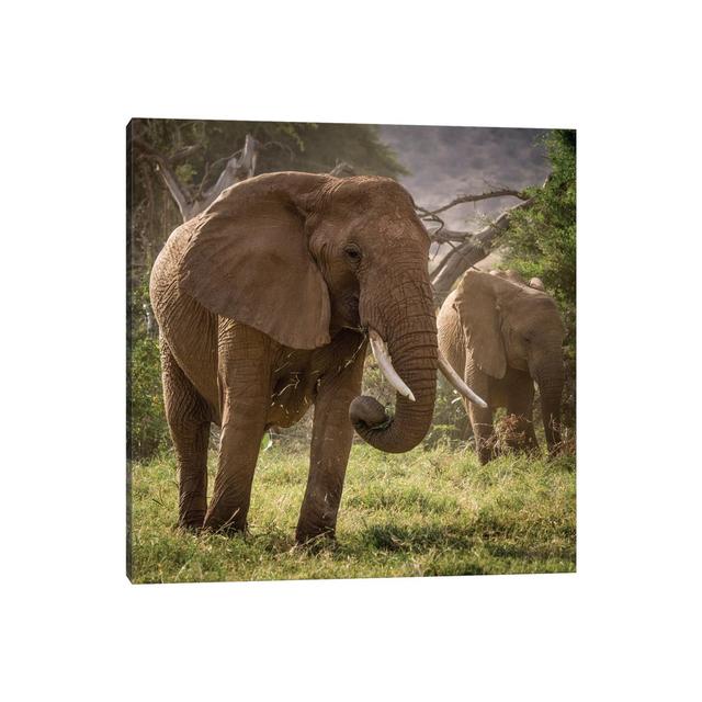 Africa, Kenya. African Elephants Feeding by Jaynes Gallery - Wrapped Canvas Print Latitude Run Size: 45.72cm H x 45.72cm W x 1.905cm D on Productcaster.