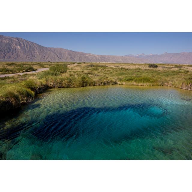 Marsh En Cuatro Cienegas Coahuila by MiguelMalo - No Frame Print on Canvas 17 Stories Size: 20cm H x 30cm W on Productcaster.