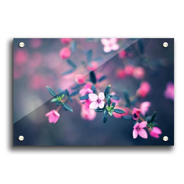 Four Petals Flowers - Unframed Photograph Print on Acrylic East Urban Home Size: 29.7cm H x 42cm W on Productcaster.