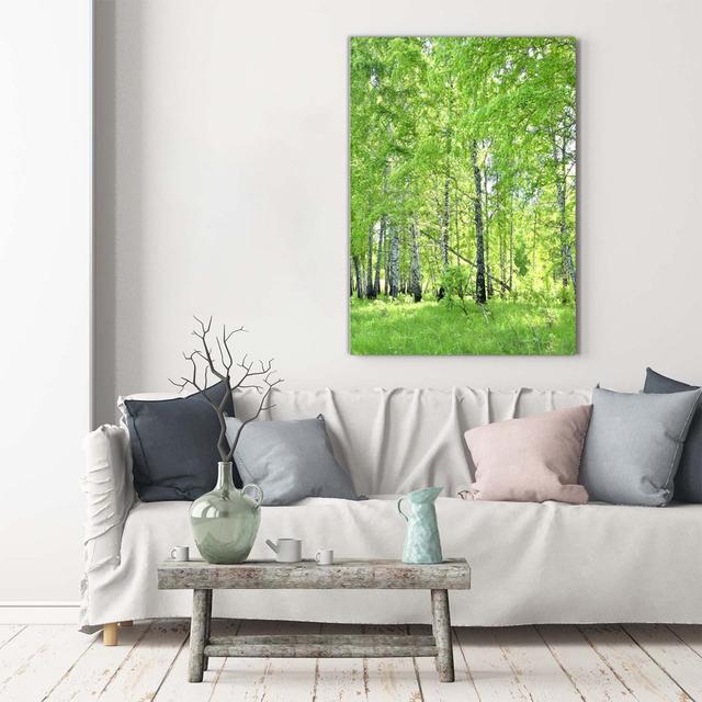 Birch Forest - Wrapped Canvas Art Prints Union Rustic on Productcaster.