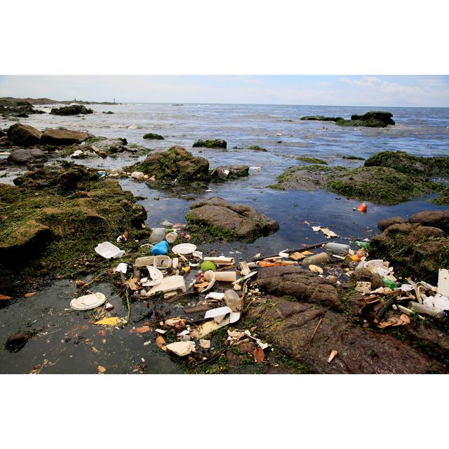 Garbage At Sea In Salvador by Joa_Souza - Print House of Hampton Size: 30cm H x 46cm W on Productcaster.