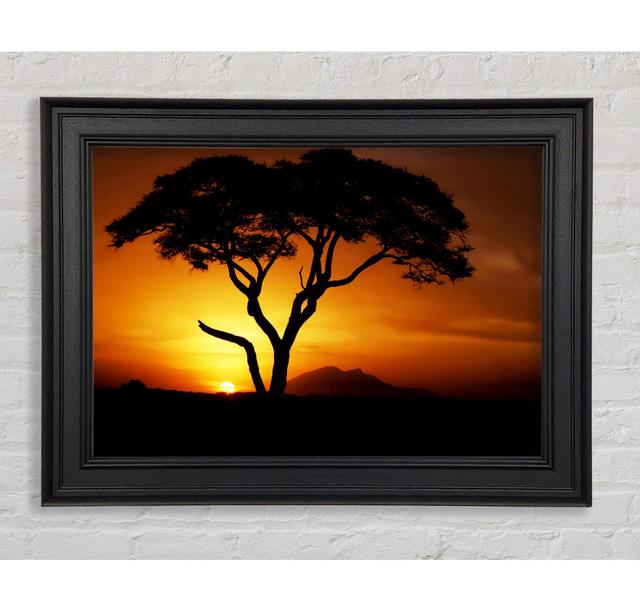 African Tree In Golden Sunlight Framed Print Ophelia & Co. Size: 21cm H x 42cm W on Productcaster.