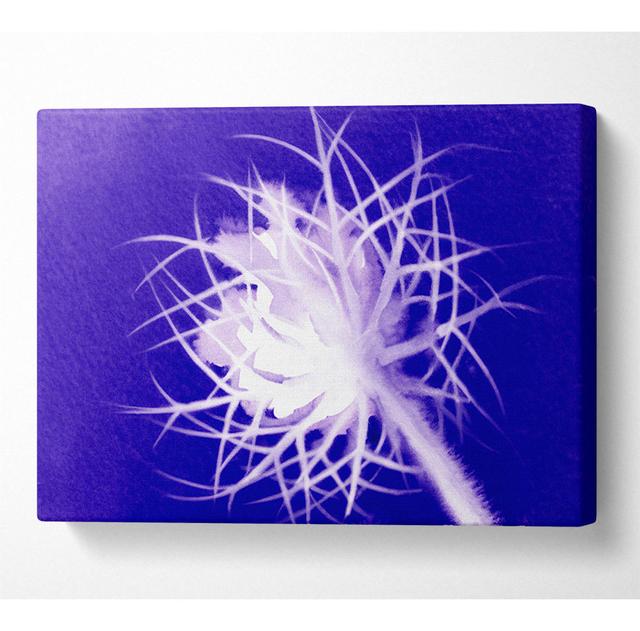 Purple Thorns - Print ClassicLiving Size: 66cm H x 106.6cm W x 10cm D on Productcaster.