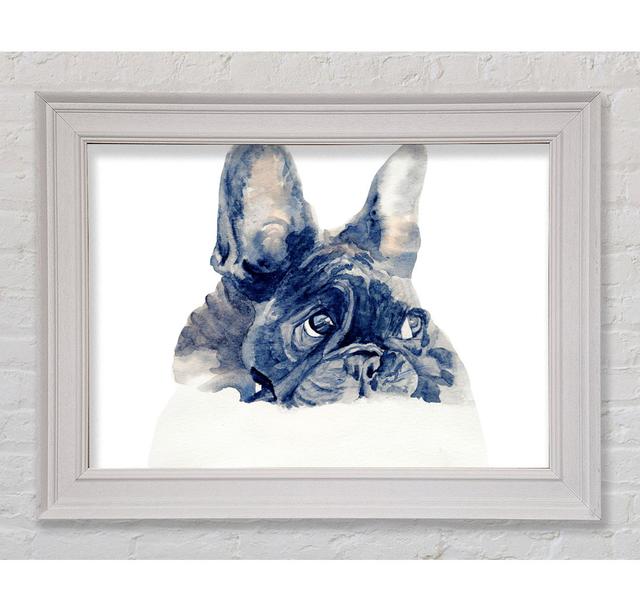 Cute French Bulldog - Single Picture Frame Art Prints Rosalind Wheeler Size: 59.7cm H x 84.1cm W x 8cm on Productcaster.