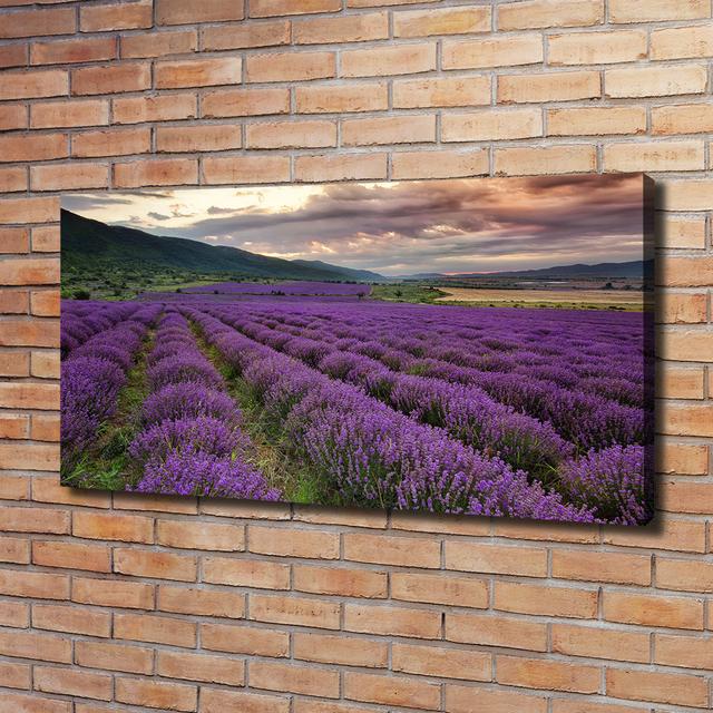 Lavender Field - Wrapped Canvas Art Prints Brayden Studio on Productcaster.