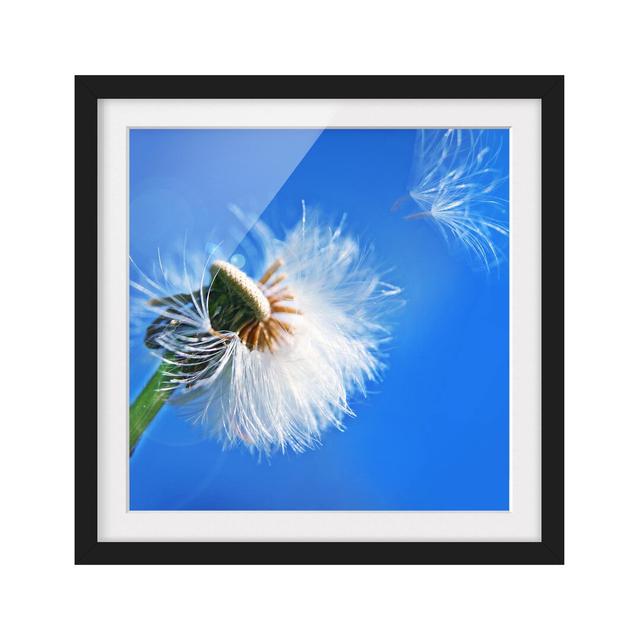 Blown Away Framed Photographic Art Print East Urban Home Size: 70cm H x 70cm W, Frame Options: Matt black on Productcaster.