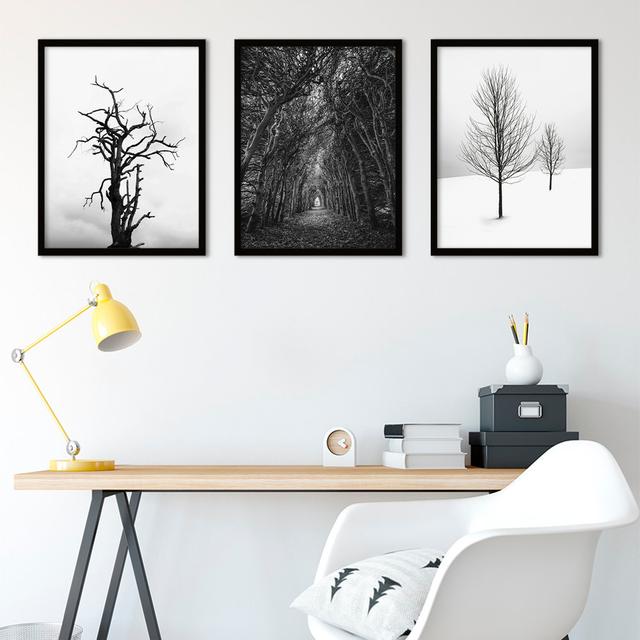 Solitude Lonely Tunnel Forest Trees - 3 Piece Print Set Wee Blue Coo on Productcaster.