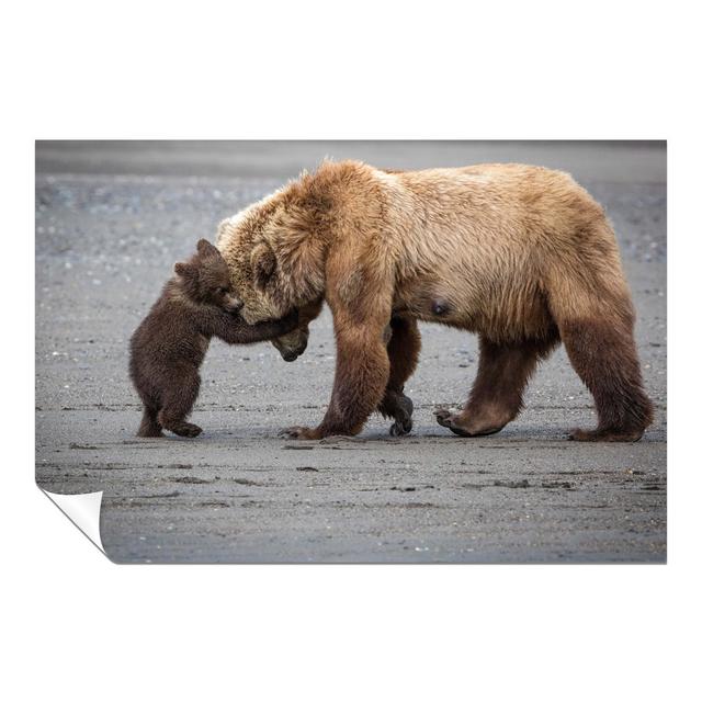 Cute Bear Hug Mother And Baby - No Frame Print Panther Print Size: 61cm H x 41cm W on Productcaster.