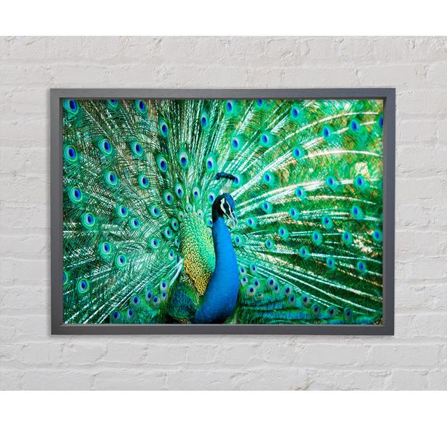 Peacock Feather Glory - Single Picture Frame Art Prints on Canvas Latitude Vive Size: 84.1cm H x 118.9cm W x 3.3cm D on Productcaster.