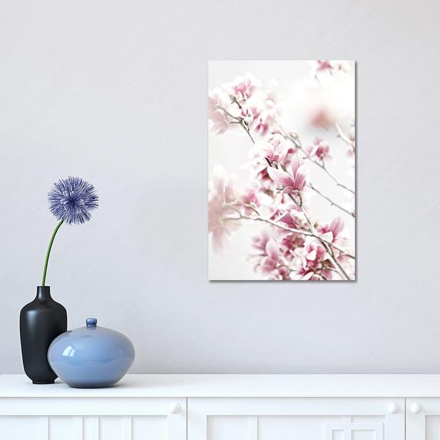 Magnolia Pink White by Monika Strigel - Wrapped Canvas Photograph ClassicLiving Size: 45.72cm H x 30.48cm W x 1.9cm D on Productcaster.