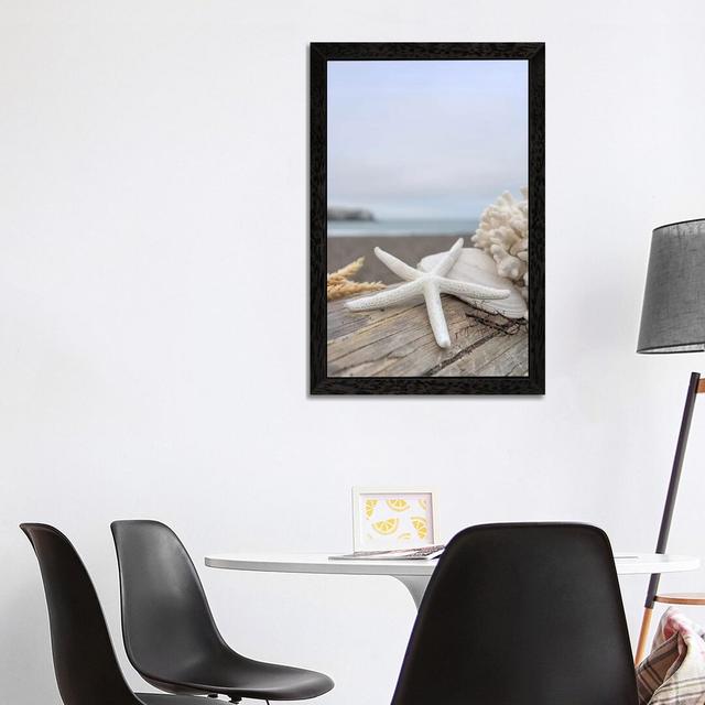 'Crescent Beach Shells XIV' by Alan Blaustein - Floater Frame Photograph Print on Canvas Highland Dunes Size: 66.04cm H x 45.72cm W x 3.81cm D, Frame on Productcaster.