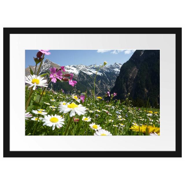 Gerahmter Fotodruck "Schöne Blumen auf einer Alpenwiese East Urban Home Größe: 40 cm H x 55 cm B, Format: Graues gerahmtes Papier, Matte Farbausführun on Productcaster.