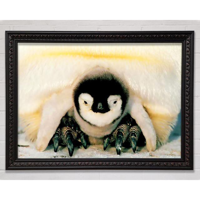 Penguin Love Framed Print Bright Star Size: 42cm H x 59.7cm W on Productcaster.