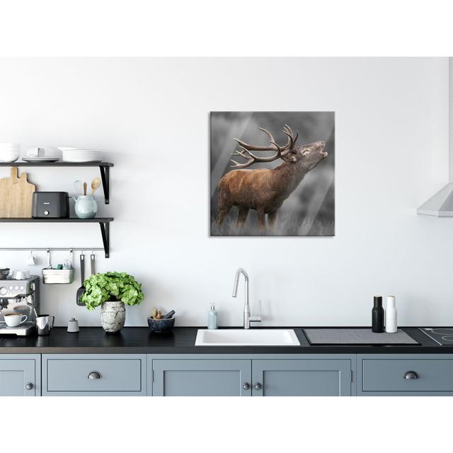 Roaring Deer with Mighty Antlers - Unframed Photograph on Glass Union Rustic Size: 80cm H x 80cm W x 0.4cm D on Productcaster.